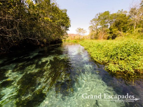 Snorkling in Rio Sucuri, Bonito, Brazil