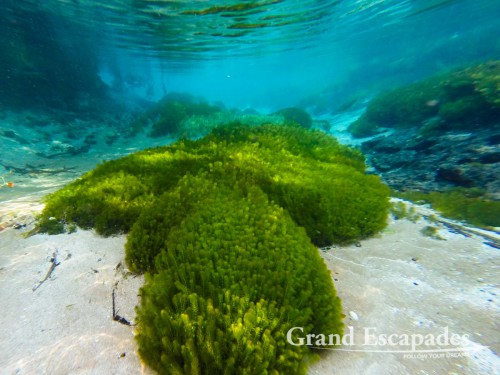 Snorkling in Rio Sucuri, Bonito, Brazil