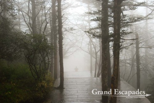 Emei Shan, the Holy Mountain, near Chengdu, China