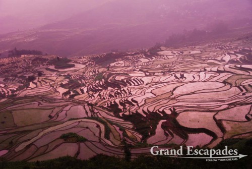 Rice Terrasses of Yuanyang (here in Duoyishu), Yunnan, China