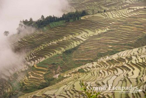 Rice Terrasses of Yuanyang, Yunnan, China