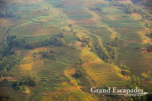 Rice Terrasses of Yuanyang at sunset, Yunnan, China