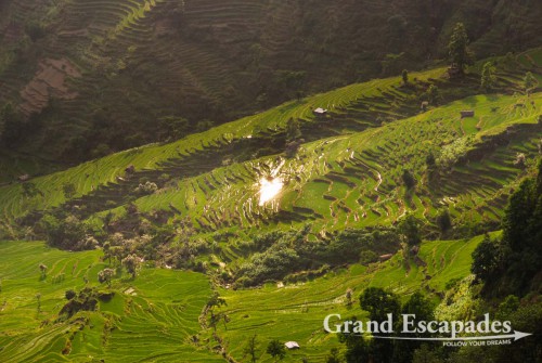 Rice Terrasses of Yuanyang at sunset, Yunnan, China