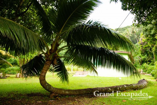 Driving around on Rarotonga, Cook Islands