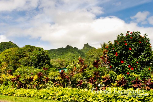 Driving around on Rarotonga, Cook Islands