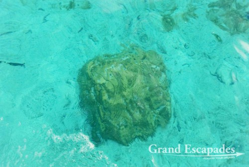 "Lagoon Cruise", Aitutaki Atoll, Cook Islands