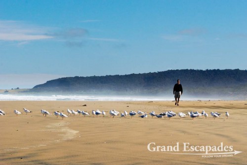 Deserted Beaches, the Catlins, South Island, New Zealand
