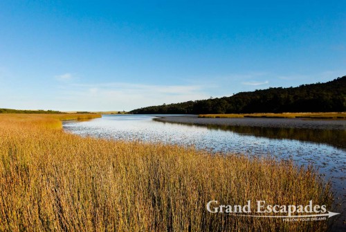 "Nature Walk" around lakes and through marshland near Owaka, the Catlins, South Island, New Zealand