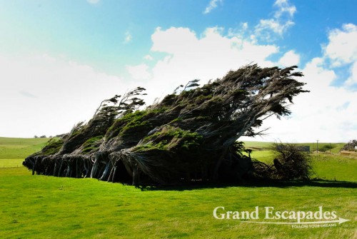 Slope Point, the southernmost point in New Zealand, South Island, New Zealand
