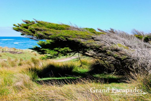 Slope Point, the southernmost point in New Zealand, South Island, New Zealand