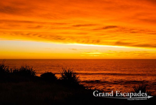 Truman Trail at Sunset, West Coast, South Island, New Zealand