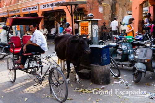 Streets of Jaipur, the Pink City, Rajasthan, India