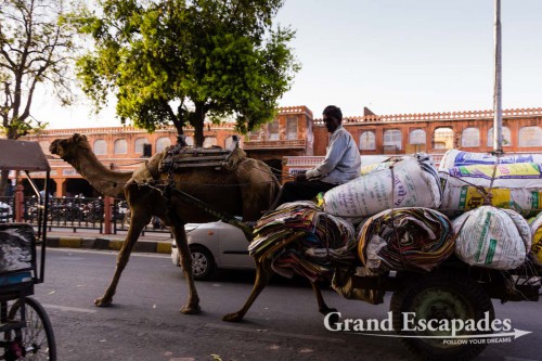 Streets of Jaipur, the Pink City, Rajasthan, India