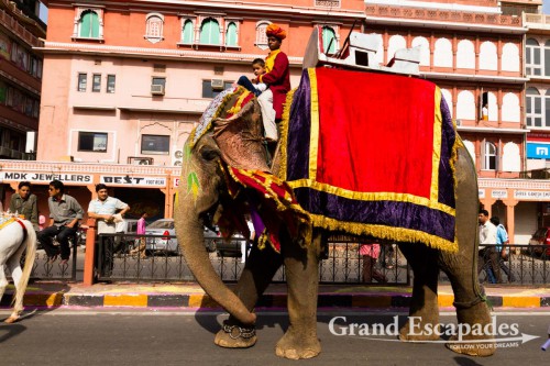 Witnessing one of the many processions (this time for peace in the world...) in Jaipur, the Pink City, Rajasthan, India