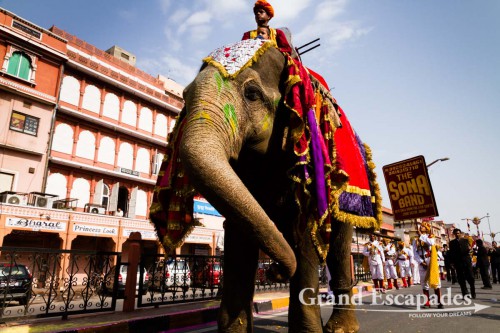 Witnessing one of the many processions (this time for peace in the world...) in Jaipur, the Pink City, Rajasthan, India