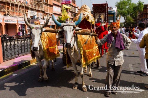 Witnessing one of the many processions (this time for peace in the world...) in Jaipur, the Pink City, Rajasthan, India