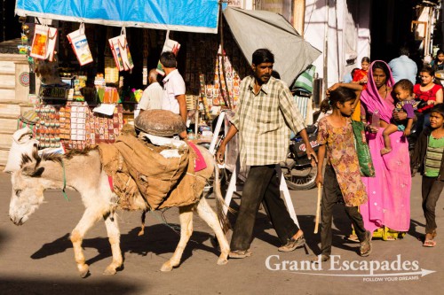 In the streets of Udaipur, Rajasthan, India