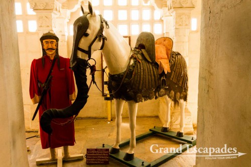 Horse "desguised" as an elephant to mislead elephants during battles, City Palace Museum, Udaipur, Rajasthan, India