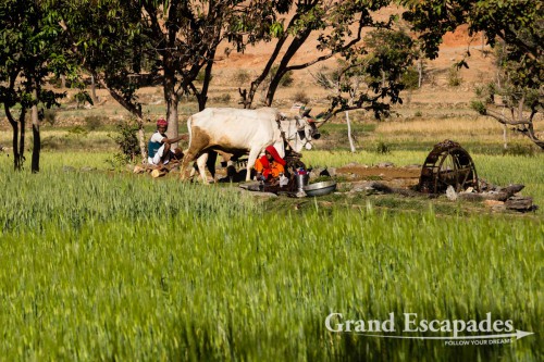 Traditional Irrigation System, on the way from Udaipur to Kumbhalgarh, Rajasthan, India