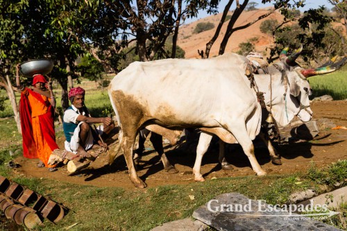 Traditional Irrigation System, on the way from Udaipur to Kumbhalgarh, Rajasthan, India