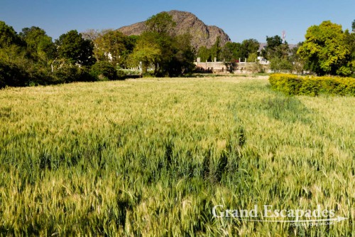 Landscape in the surroundings of Pushkar, Rajasthan, India