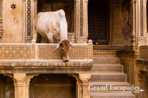 In the streets of Jaisalmer, Rajasthan, India