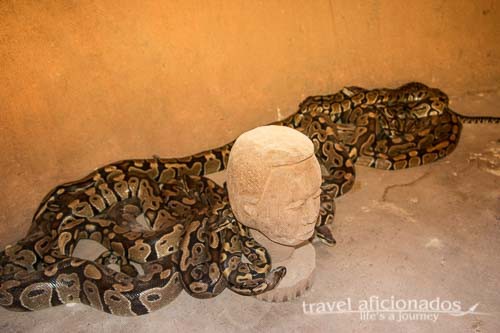 Temple of Pythons