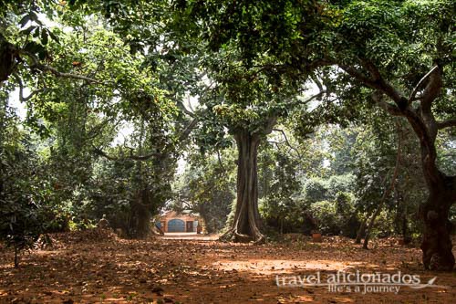 Sacred Forest, Ouidah
