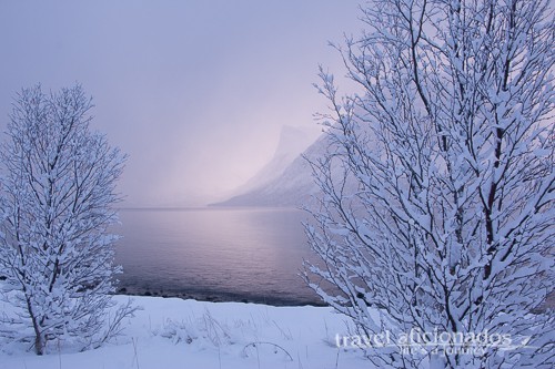 winterlandscape with fjord