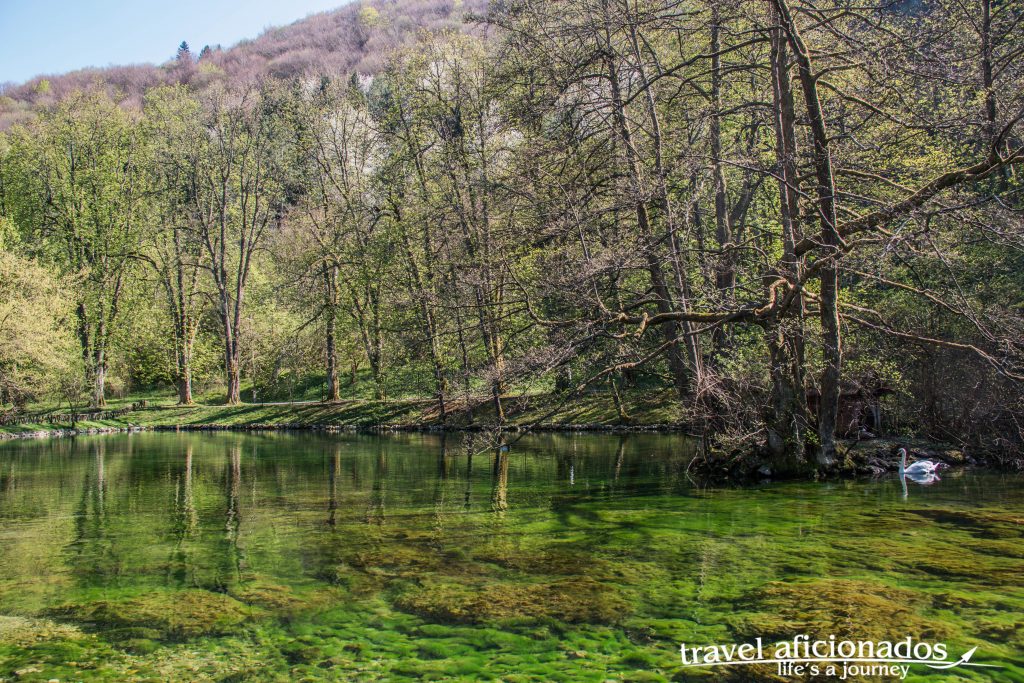 Idlidza- Vrelo Bosne