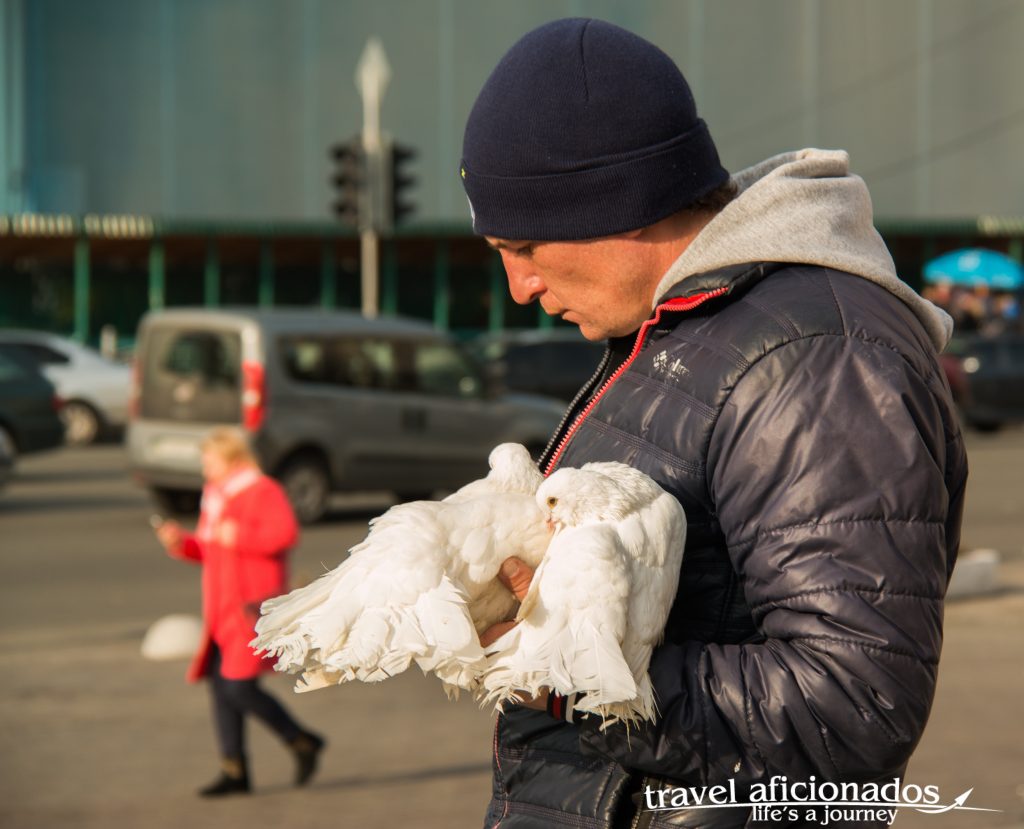 Young men posing for photos with doves for tips